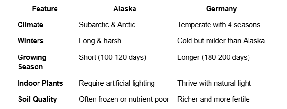 Thriving Plants in Alaska’s Harsh Climate with SUPERthrive