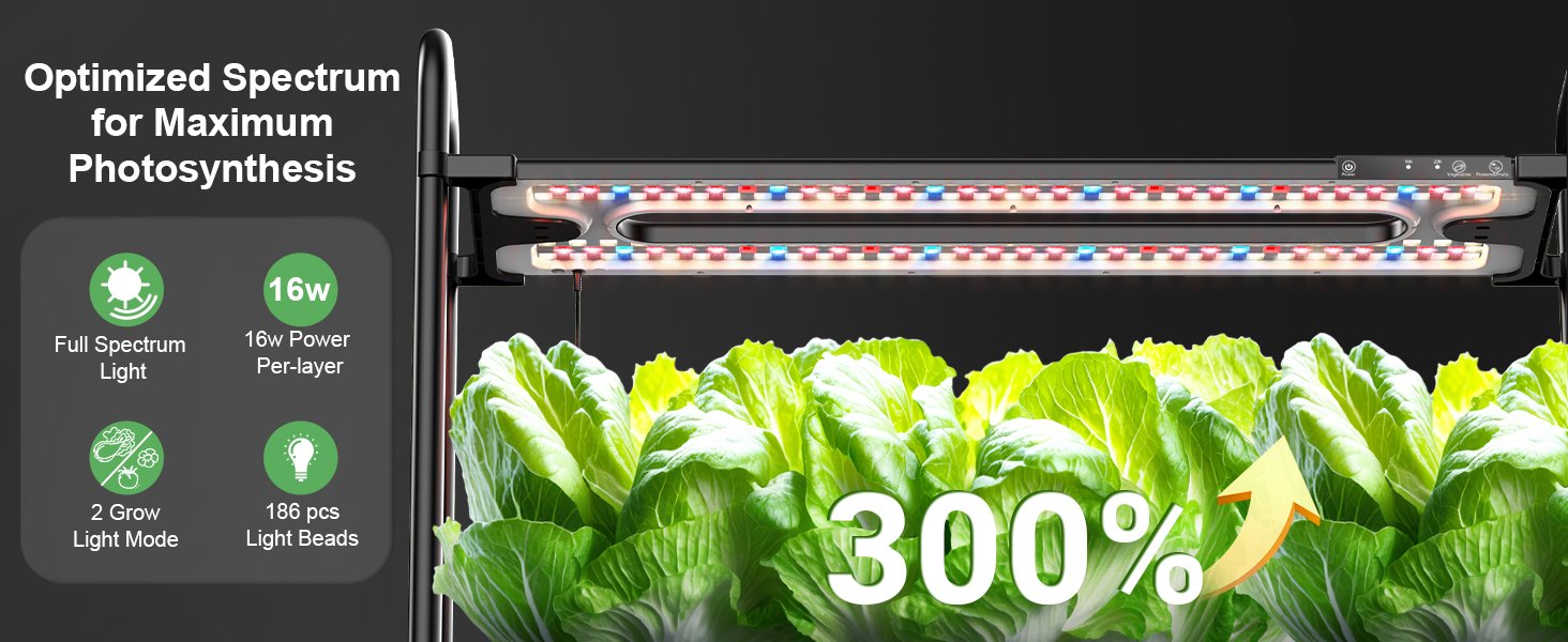Unlock Florida’s Indoor Garden Revolution