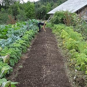 Indoor and Outdoor Gardening in Delaware