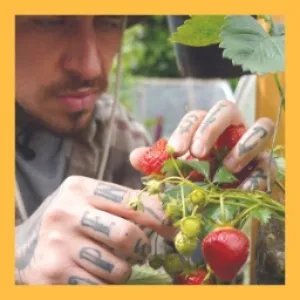 A Beginner’s Handbook to Organic Urban Gardening