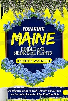 Indoor Gardening for Maine