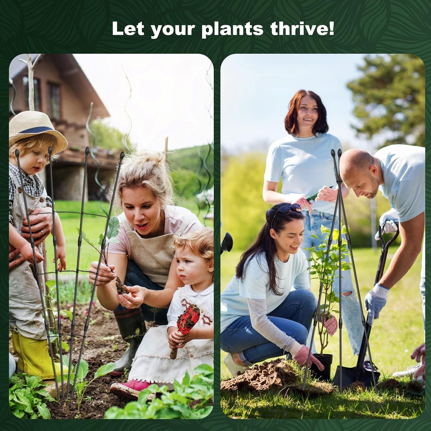 Mastering Gardening in Colorado's Diverse Climates