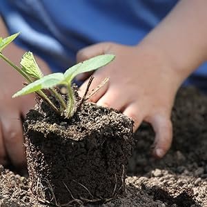Indoor and Outdoor Gardening in Delaware