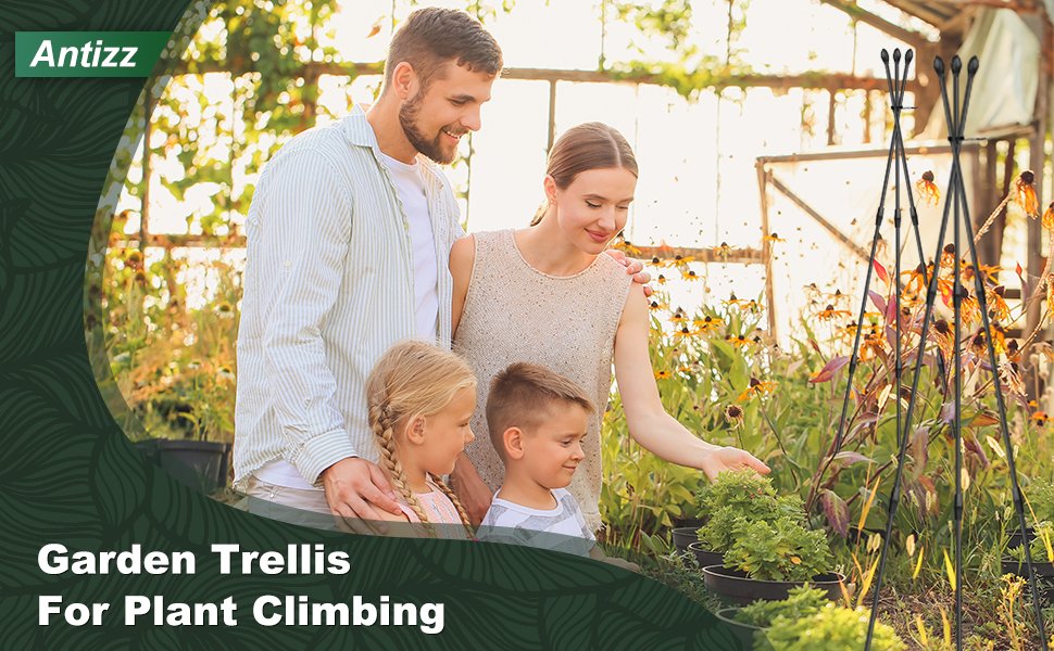 Mastering Gardening in Colorado's Diverse Climates