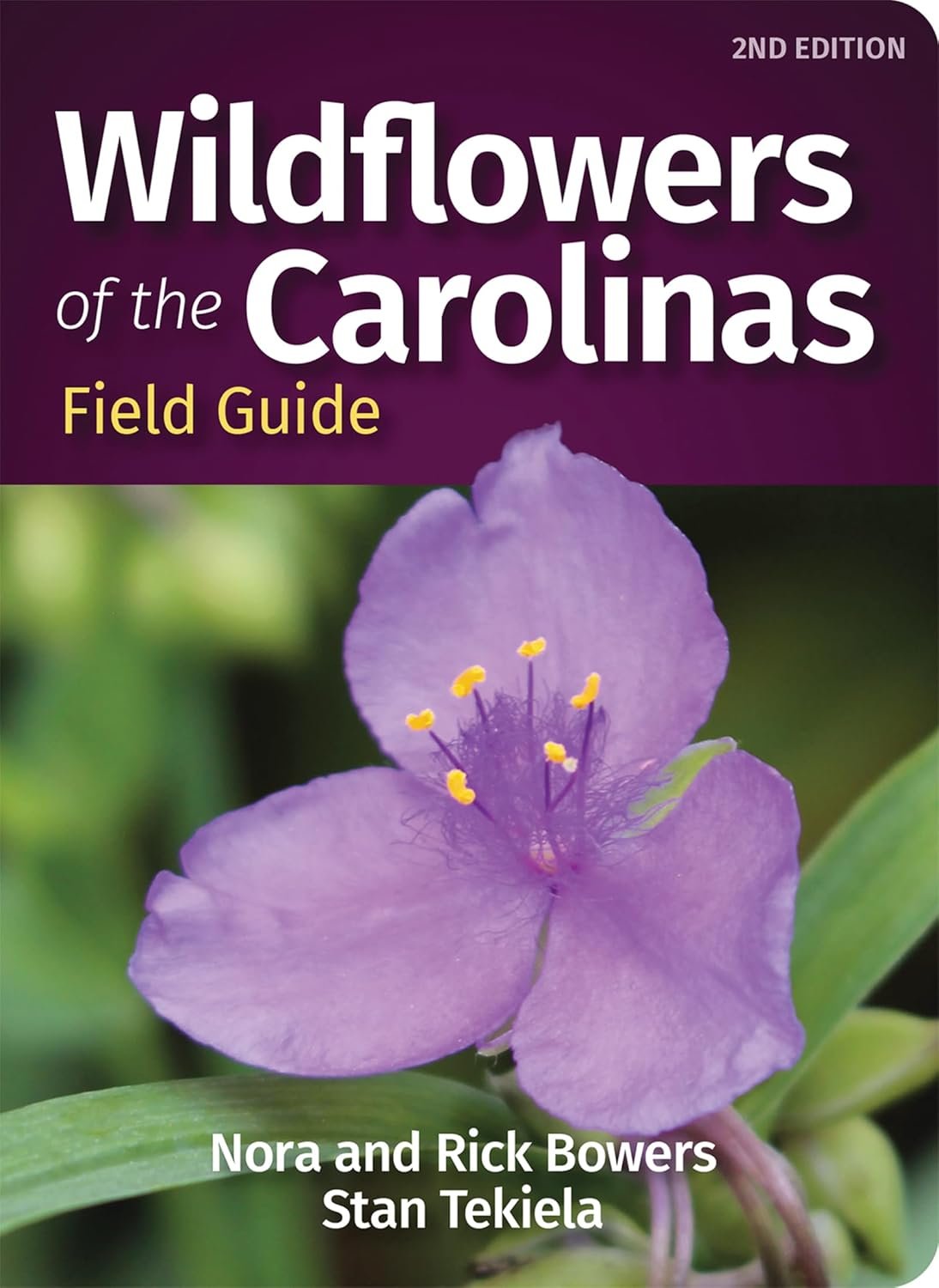 Indoor Gardening for South Carolina Climate