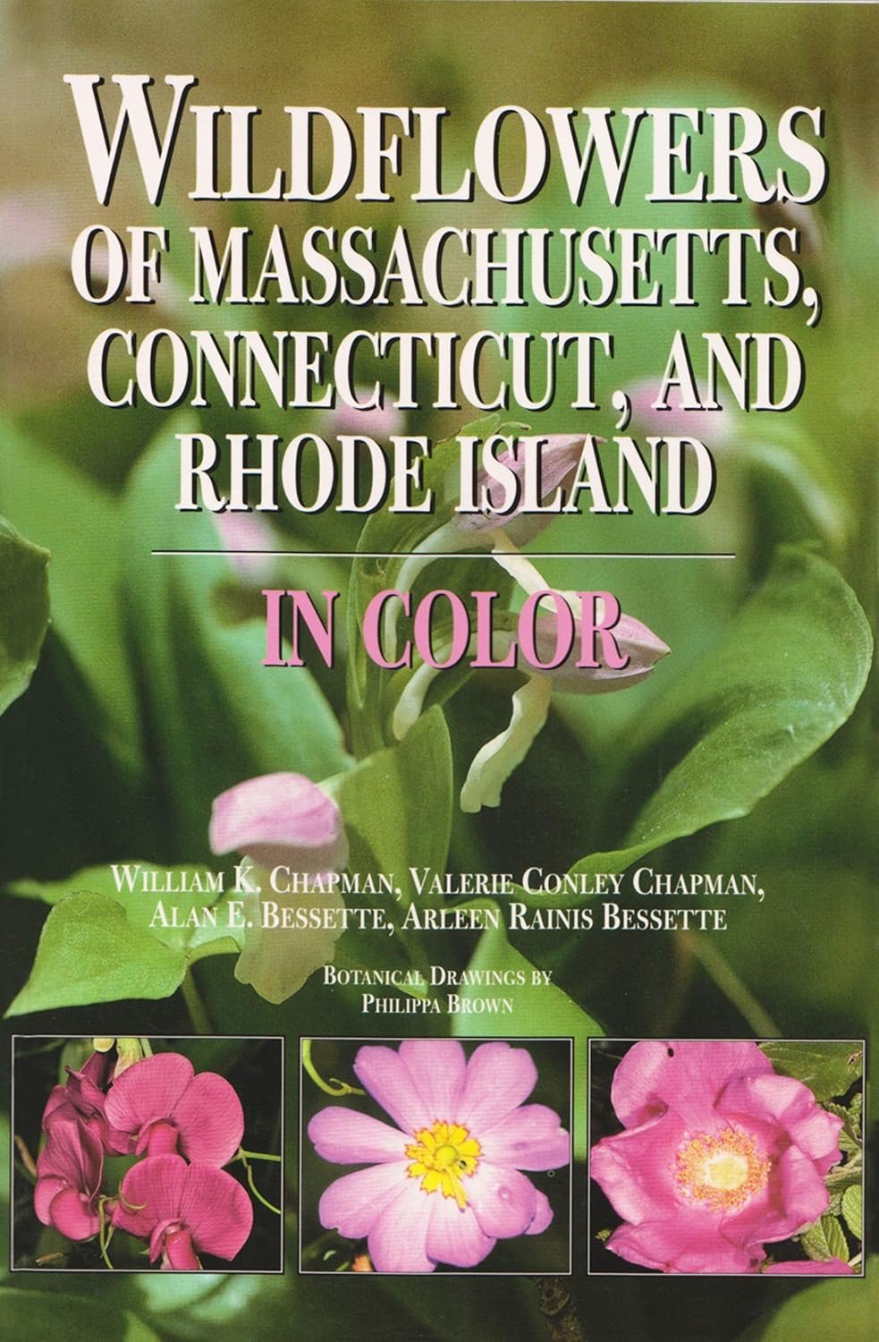 Indoor Gardening in Rhode Island