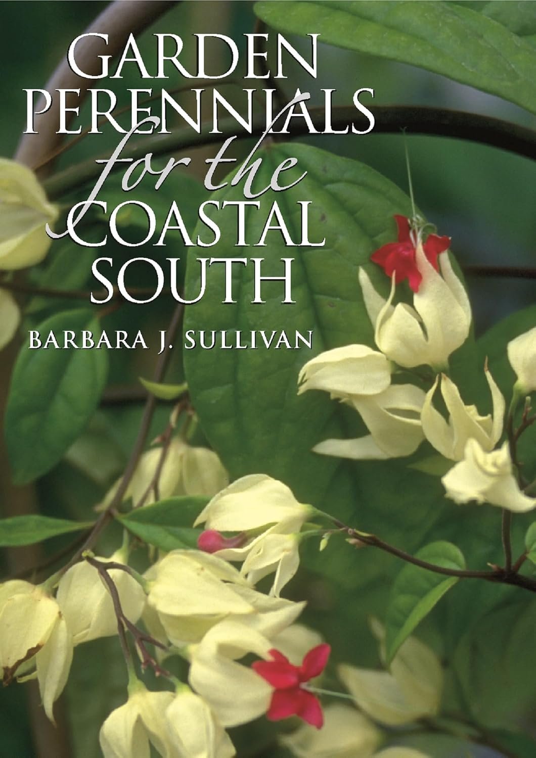 Indoor Gardening for South Carolina Climate