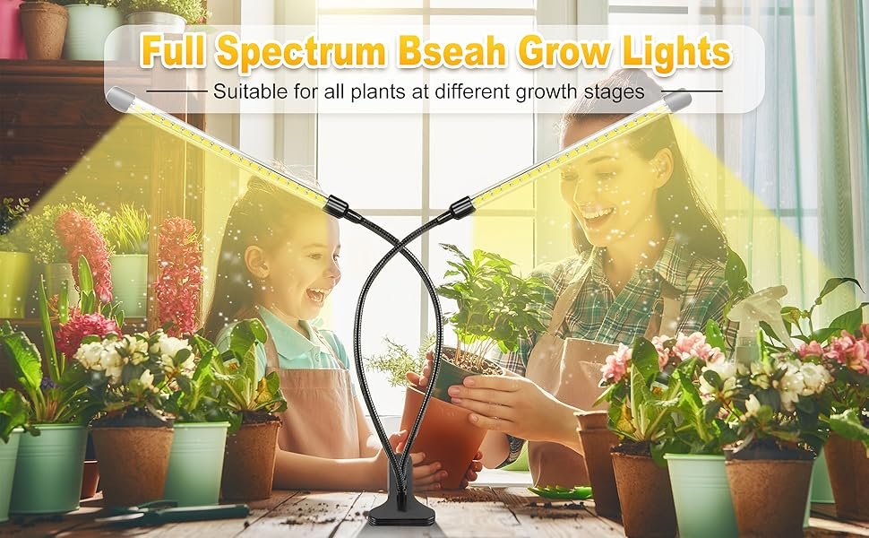 Grow Yard Long Asparagus Beans in the USA