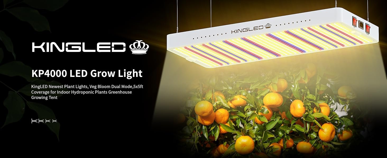 Best Indoor Grow Lights for Maryland Homes