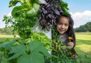 Gardening Services