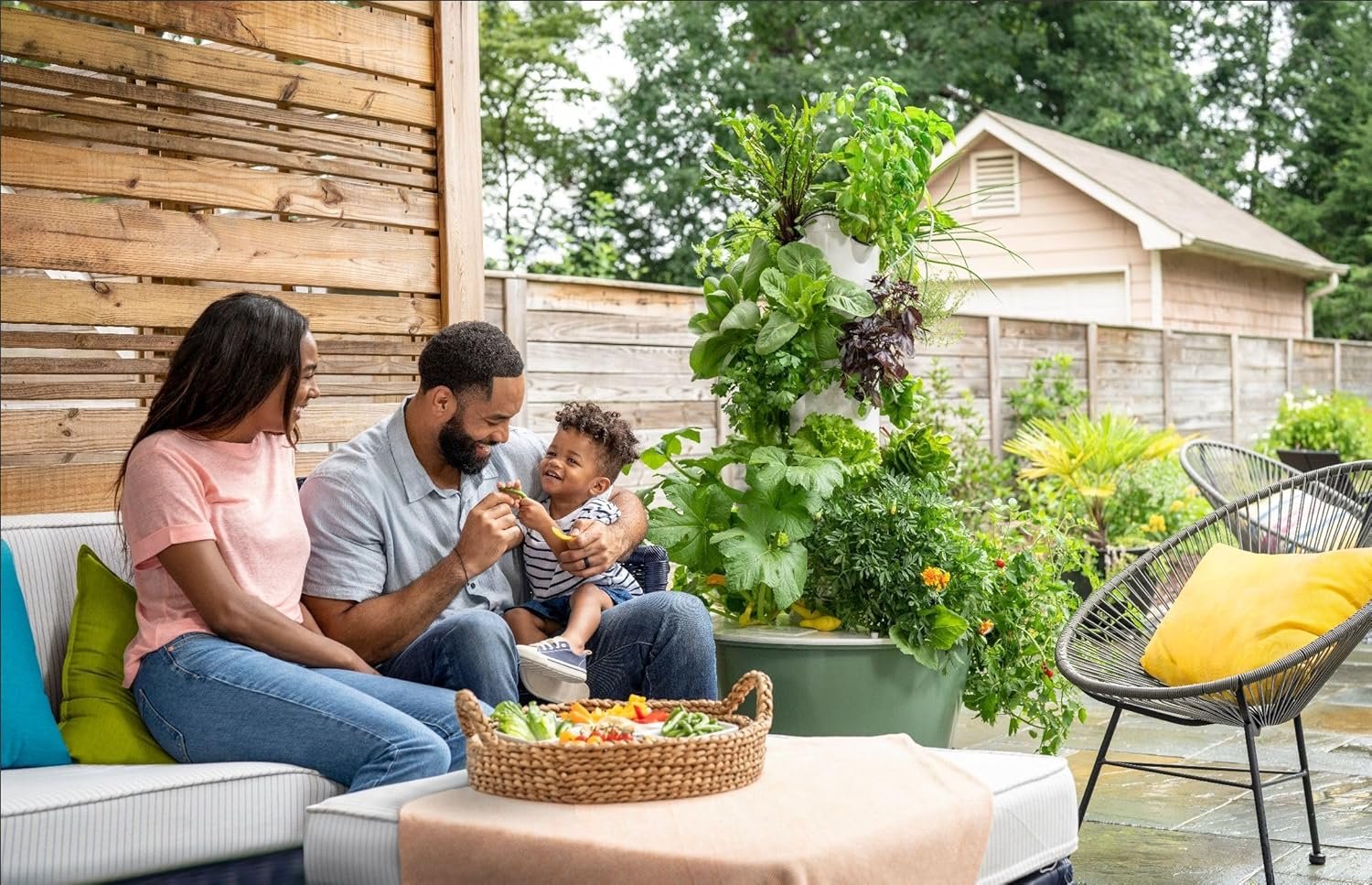 Indoor Gardening for Missouri