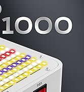 Best Indoor Grow Lights for Maryland Homes