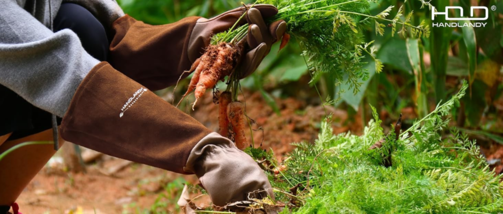 Top 5 Gardening Kits for Iowa Hiking