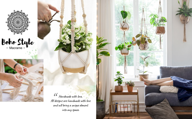 Hoist Your Indoor Space with Plants