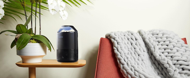 Mastering indoor comfort with plants and pests