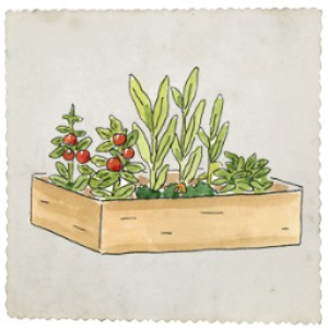 Thriving Garden Paradise Your Urban Space: