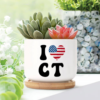 Indoor Plants for Connecticut's Climate