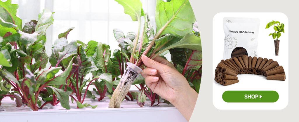 Indoor Gardening for Illinois Climate