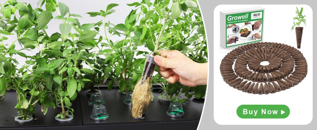 Unlock Florida’s Indoor Garden Revolution: Your Guide to Thriving, No Matter the Climate
