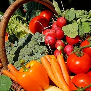 Indoor and Outdoor Gardening in Delaware