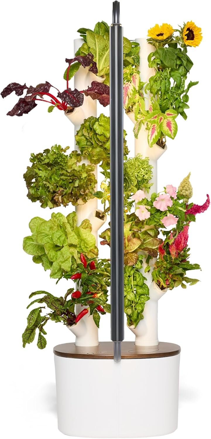 Indoor Gardening for Idaho Climate