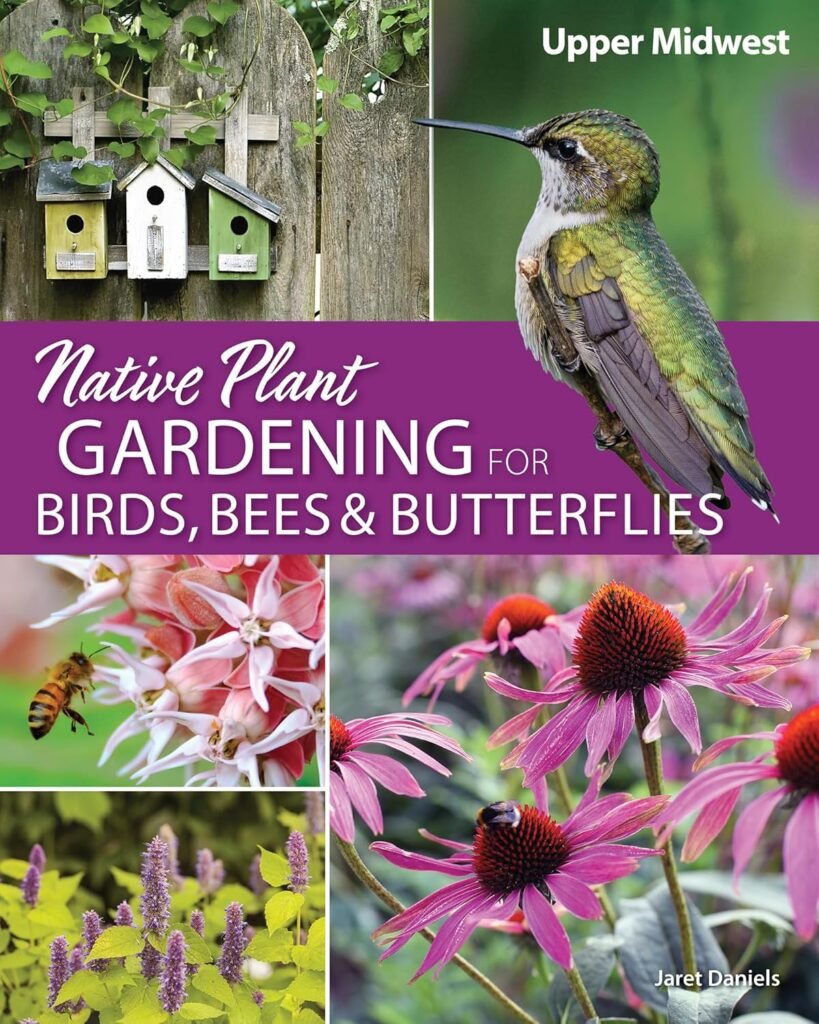 A Comprehensive Guide to Transforming Your Garden