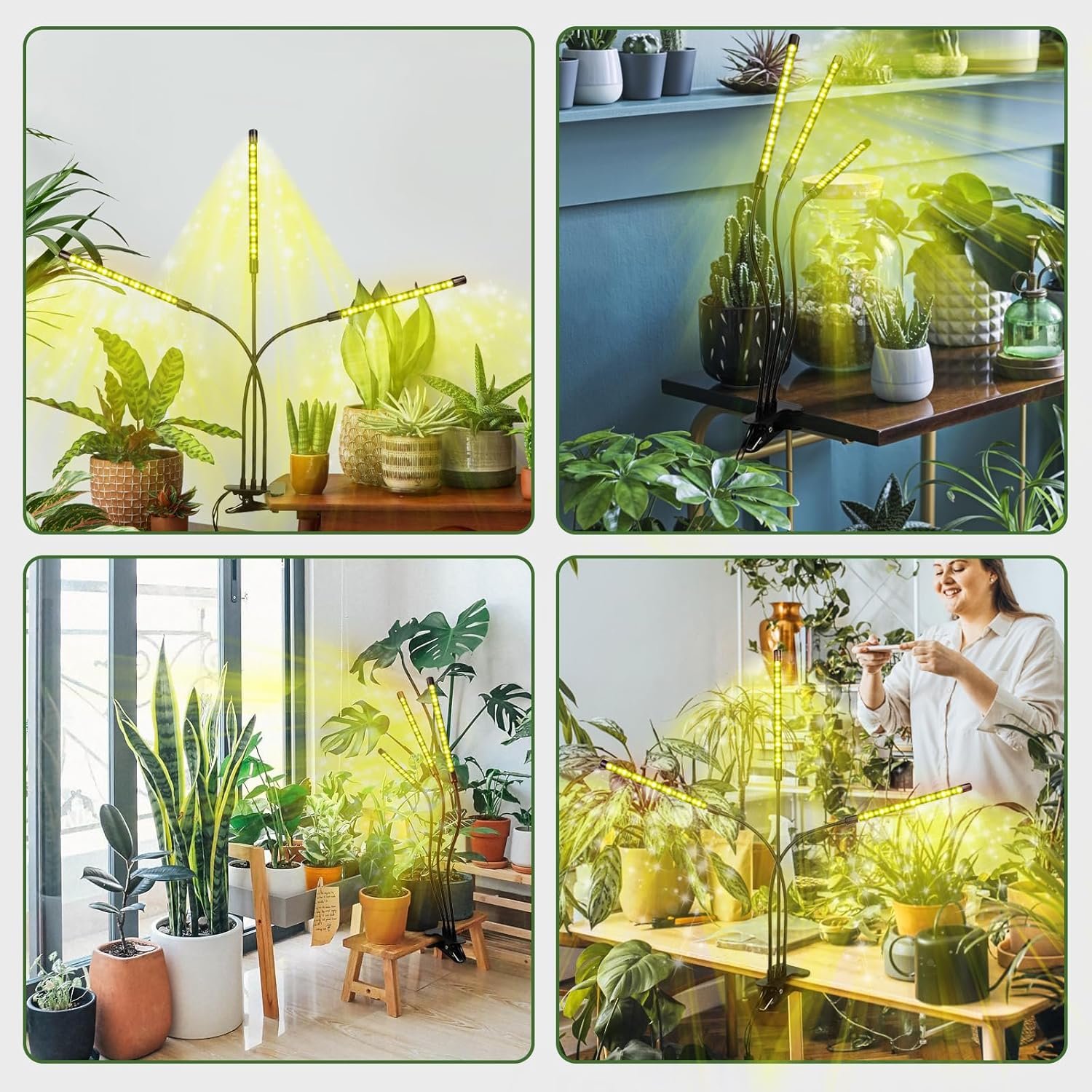 Gardening in Hawaii