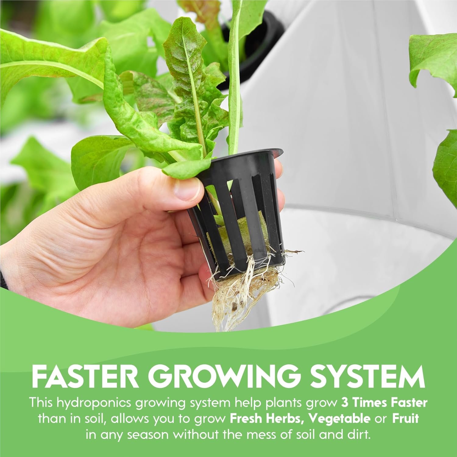 Unlock Indoor Gardening Success in Indiana