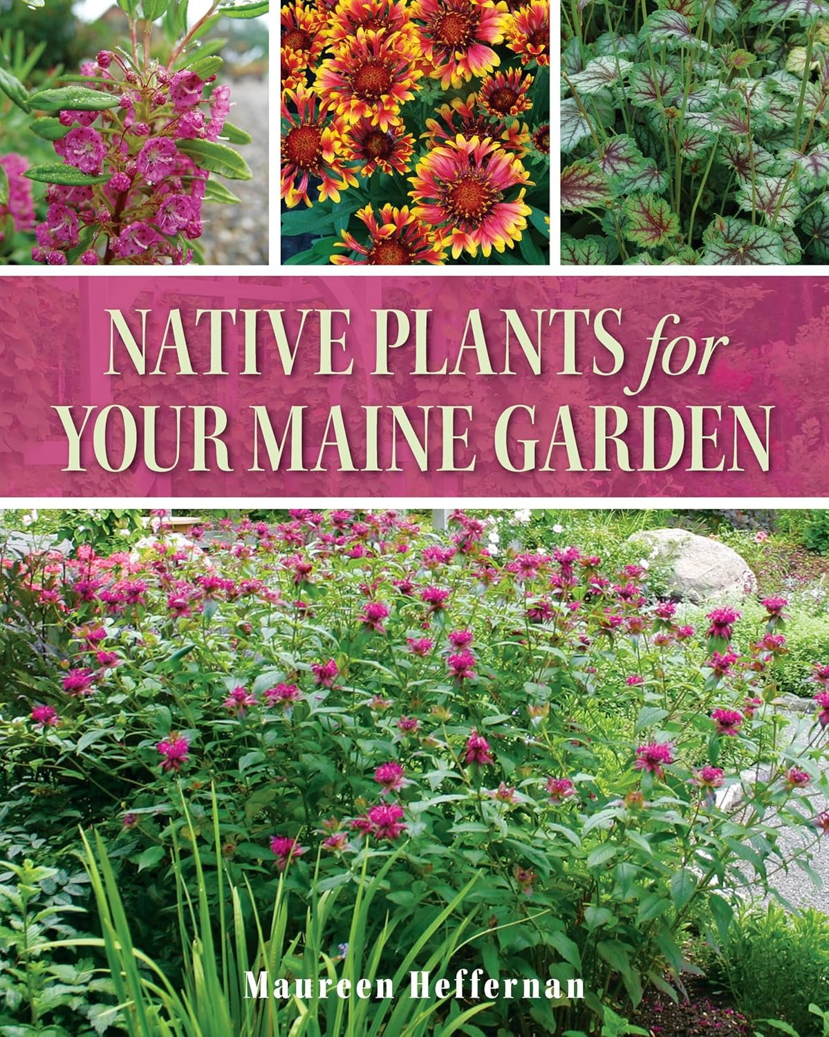 Indoor Gardening for Maine