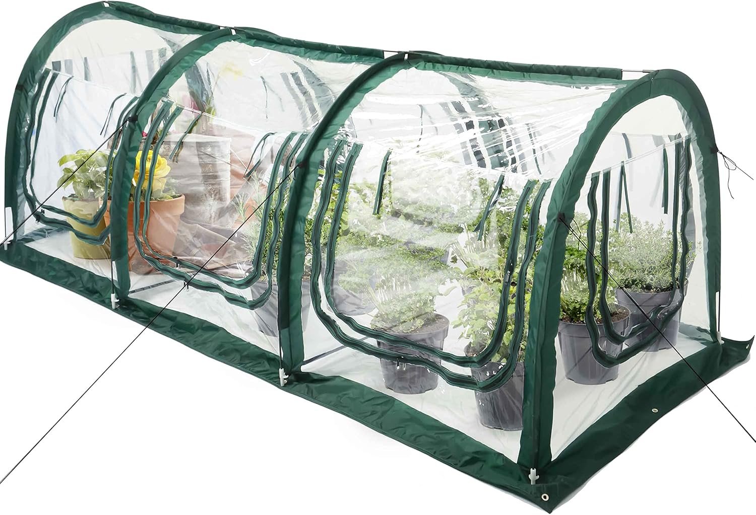 Indoor Gardening in Pennsylvania