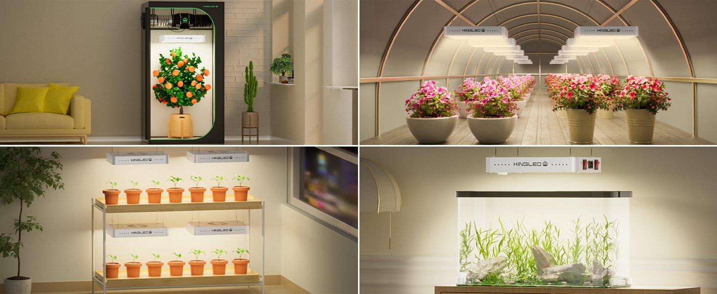 Best Indoor Grow Lights for Maryland Homes